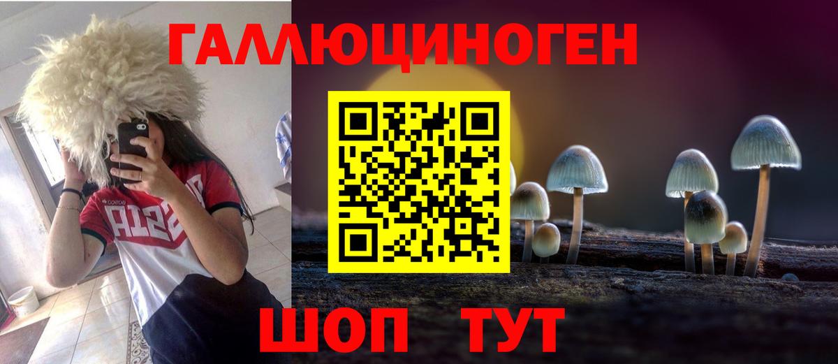 Псилоцибиновые грибы Cubensis Зеленодольск